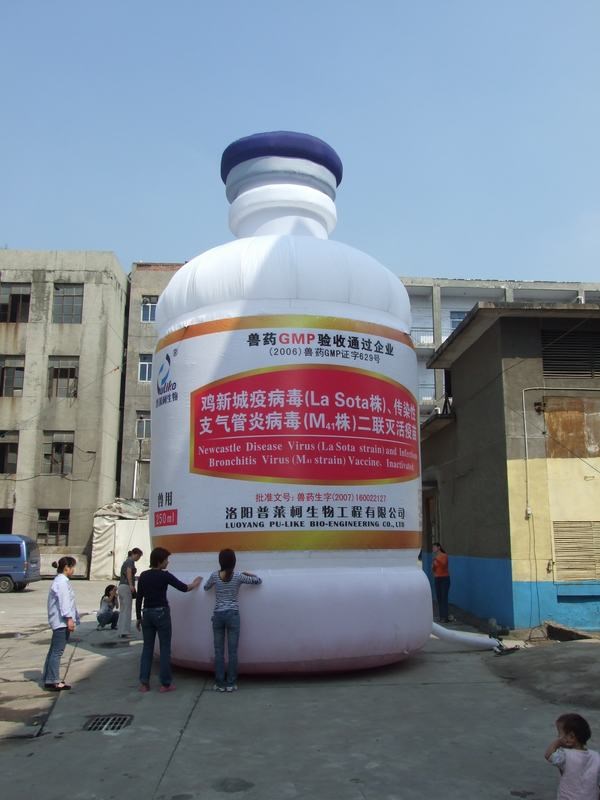 宁县广告宣传气模